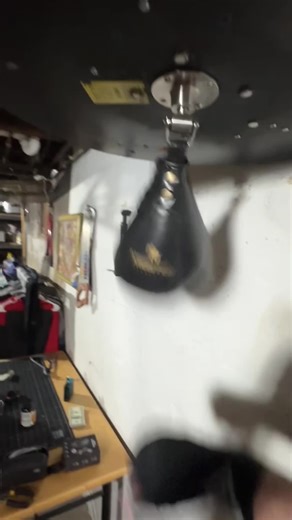 Choosing the Right Speed Bag for Boxing Training