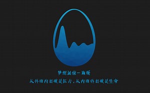 【IMA蛋协】C语言零基础快速入门教程（快速讲完C语言的知识点，方便萌新过渡）