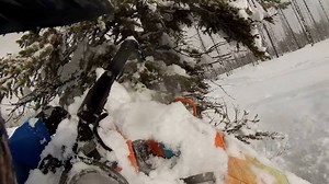 9.8K views · 115 reactions | Lauren was hitting all the trees and doing all the cool stuff, so I guess I needed to show that I am still the master. | Two Stuck Girls | Facebook