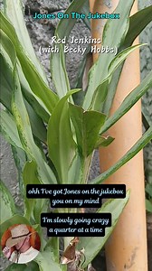 Jones On The Jukebox - Red Jenkins and Becky Hobbs (2006) - Country HITS of the 70's, 80s, 90's and 2k's - TJYCM is keepin' REAL COUNTRY MUSIC alive #oldschool #countryclassics | The Jukebox, You, & Country Music