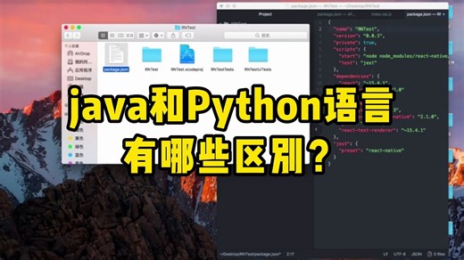 java和Python语言有哪些区别？