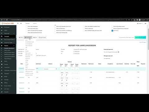 TimeClock 365 short overview - quick start