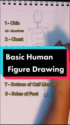 Here's how to draw a Basic Figure Drawing! #learnontiktok #tiktokpartner #drawingtutorial #humananatomy #artist