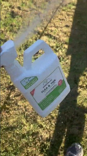 Natural flea and tick spray for your yard. Link in description + Amazon store.￼￼ #amazonfinds