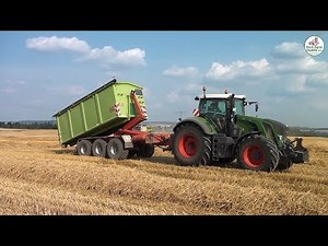 Weizen Ernte mit Containerverladung - Multi Agrar Claußnitz GmbH - Claas, JCB, Fendt, Big Farming