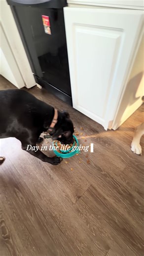 A Day in Capri: Journey of a Cosmetology Student