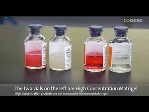 Corning® Matrigel® Matrix: Thawing Best Practices