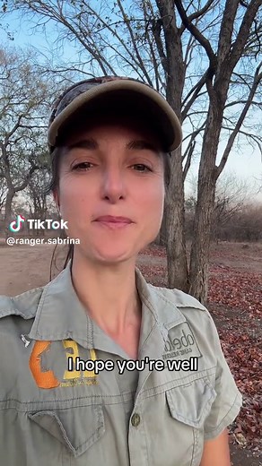 Meet Sabrina, the Ranger: Monitoring Big 5, Hyenas, and Cheetahs