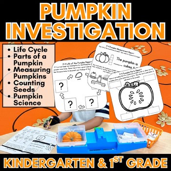 Pumpkin Investigation:  All About Pumpkins & Pumpkin Life Cycle for Kindergarten
