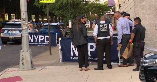2 dead in Brooklyn hit-and-run, suspect in custody