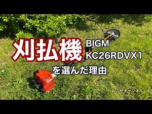 刈払機 BIGM KC26RDVX1 を選んだ理由