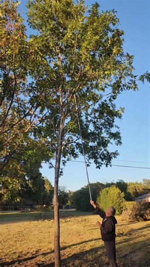 #squirrel #fail #extreme #funny | Mat McDonald