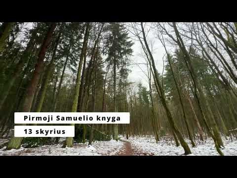 Pirmoji Samuelio knyga | 13 skyrius