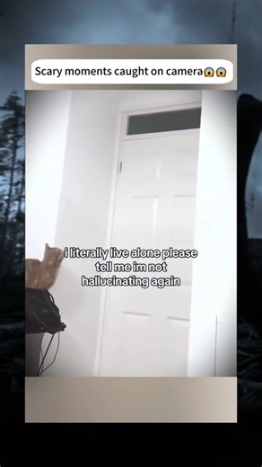 269K views · 1.4K reactions | Scary  moments caught on camera ...