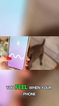 Why Dogs Chase Bugs Indoors 🪰 Dog Behavior Explained | Dog Facts