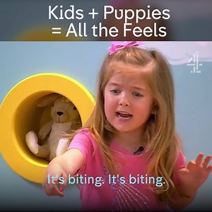 2.5M views · 2.3K reactions | Everything adorable in the world is contained in this clip. | Channel 4 | Facebook