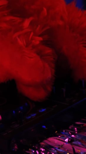 Come party with us 'till New Years here in Finland! Red is running his own DJ set, you HAVE to see this! rov.io/AngryNewYear | Angry Birds