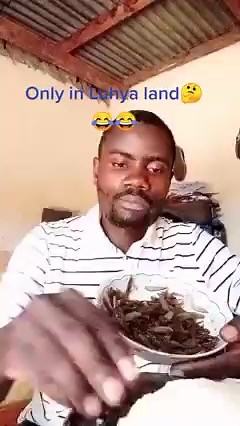 King Marshall Officiel on Reels