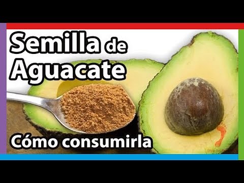 Avocado Seed Benefits & How to Eat Avocado Pit
