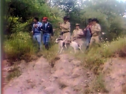 The Littlest Hobo - Se1 - Ep07 HD Watch