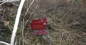 Arrest made in "shopping cart killer" case