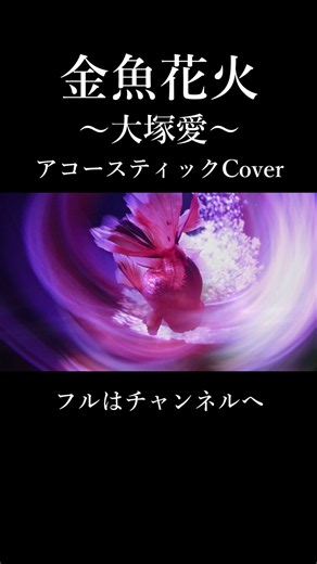 金魚花火／大塚愛【アコースティックCover】#shorts #弾いてみた #歌ってみた #cover #大塚愛 #金魚花火 #夏ソング #カバー