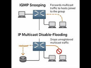 IGMP Snooping vs IP Multicast Disable-Flooding🎯♦♦♦♦♦🔐🔑