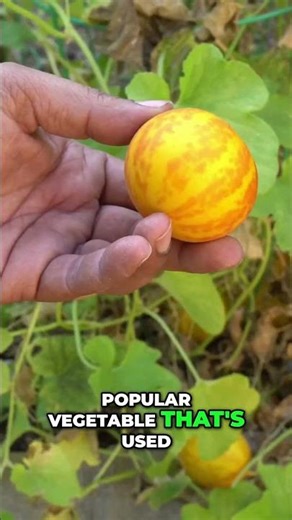 Sour Cucumber: Unique South Indian Dish Revealed! 🥒🍋