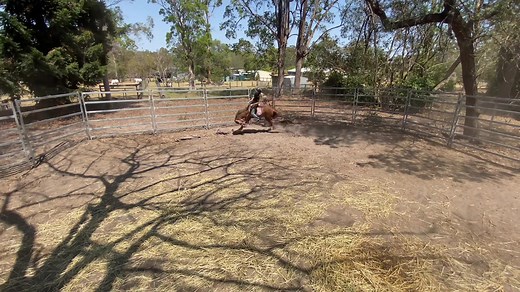 Epic Horseback Riding Fail! Watch Hilarious Bucking Bronco Incident