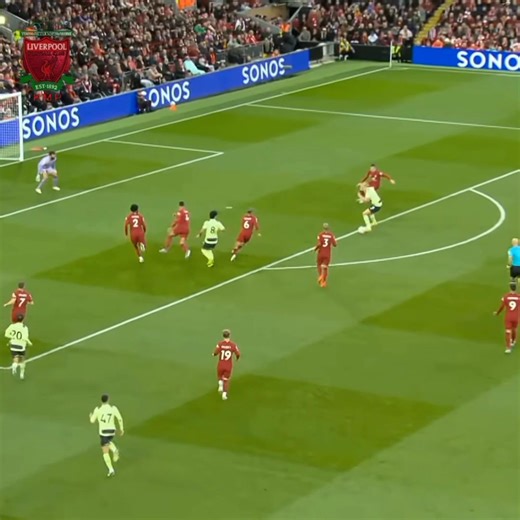 Happy Birthday Alisson Becker. 🌟🦅 | Kopites Memes posting