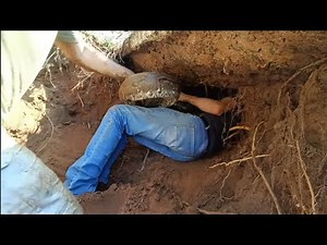 Three Pythons rescued from busy roadside den!!