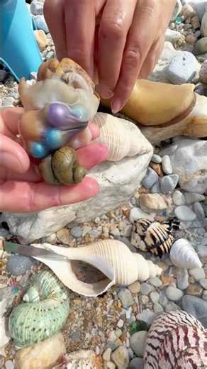 Sea Agate and Sea Crystal: Finding Hidden Treasures on the Shore and rare pearl