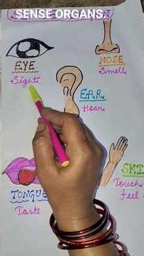 #SENSE ORGANS#EDUCATION#learningisfun