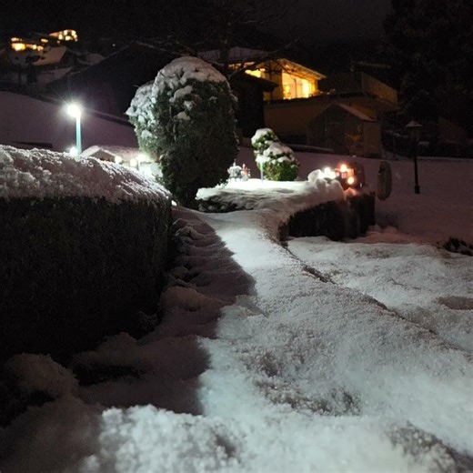 G-scale snow pluwing with the R3 and 412 ...