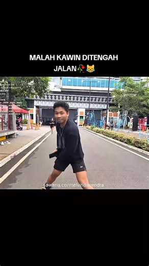 kyk anjing kawin 😹@polarmelvin #melvindanendra #kohmelvinbersabda #polarnation #tongkang