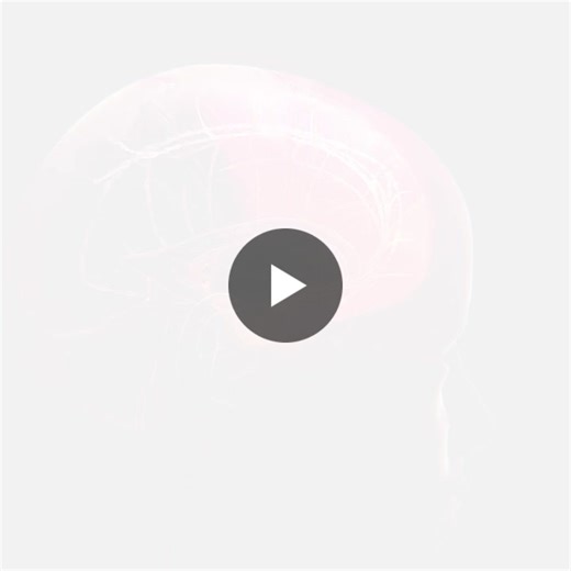 Brain Injury Awareness Month 2026 | Random42® Scientific Communication