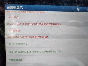 标致u1213故障码解决方法