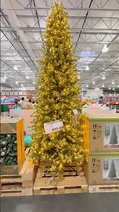 12-FOOT Costco Christmas tree for $999… would you buy it?#costcofinds #christmastree