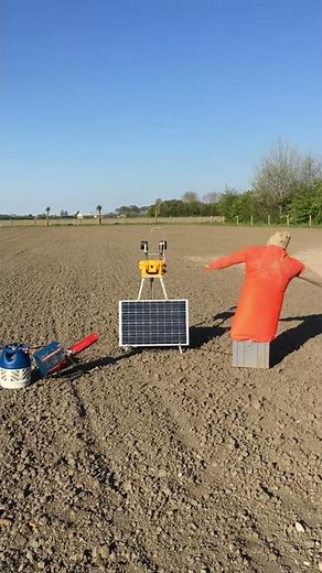 The Bird Alert warning sounds to scare off crows