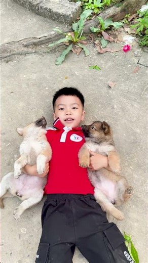 You will die laughing with this family🤣💖💖🤣🤣🤣
