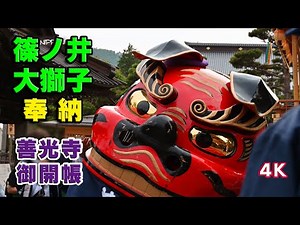 善光寺御開帳 篠ノ井大獅子奉納 / 2基の大獅子による舞いの競演