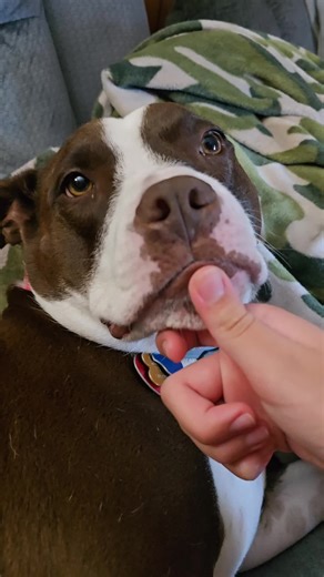 Spaceace (@spaceace43)’s videos with original sound - Guy Cooper