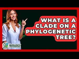 What Is A Clade On A Phylogenetic Tree? - Biology For Everyone