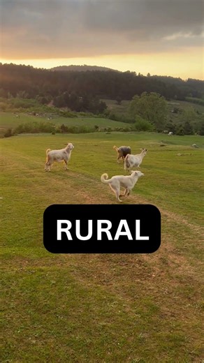 How to Pronounce “Rural” in American English 🇺🇸 (ESL Lesson)