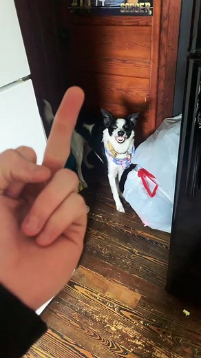 Calvin (@calvinbigballss)’s videos with original sound - Calvin