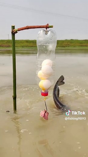 Chicken Liver Plastic Bottle Fishing Trap — Easy DIY Fish Trap