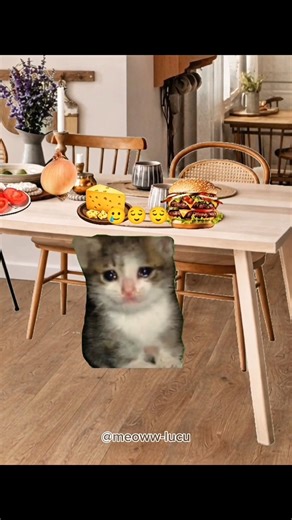 kok bisa gak sehat ya?🤔#kucing #meow #lucu #viral #shorts