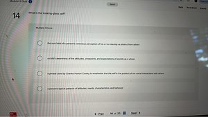 What is the looking-glass self?Multiple Choice:the sum tota... | Filo