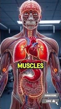 Improve Kidney Function Naturally Hydrating Foods Antioxidant Rich Detox Diet Wellness Guide 💧�