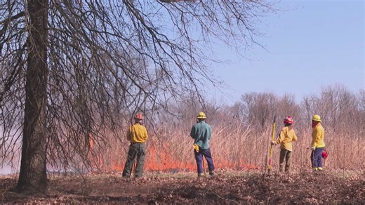 Prescribed burn at Iroquois Park aims to restore native prairie